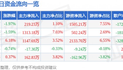 股票行情快报:开尔新材(300234)7月30日主力资金净买入219.23万元