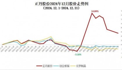 正丹股份月度报告(2024年12月期)