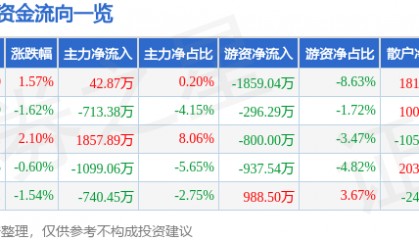 股票行情快报:新开普(300248)6月9日主力资金净买入42.87万元
