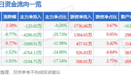 股票行情快报:实达集团(600734)8月13日主力资金净卖出125.02万元