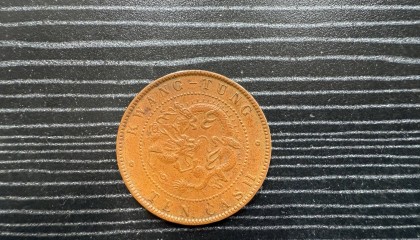 南方货币(南方货币基金收益排名)