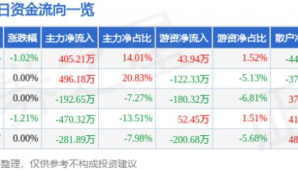 股票行情快报:开尔新材(300234)6月13日主力资金净买入405.21万元