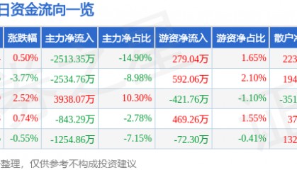 股票行情快报:朗玛信息(300288)8月11日主力资金净卖出2513.35万元
