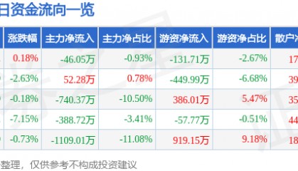 股票行情快报:沙河股份(000014)12月26日主力资金净卖出46.05万元