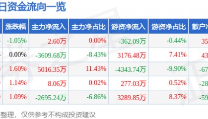 股票行情快报:神火股份(000933)6月13日主力资金净买入2.60万元