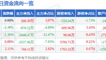 股票行情快报:朗玛信息(300288)7月31日主力资金净买入568.30万元