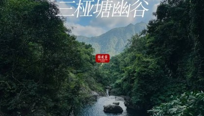广州团建推荐 | 三桠塘幽谷,打卡避暑秘境|广州中高层团建 | 广州户外团建好去处推荐