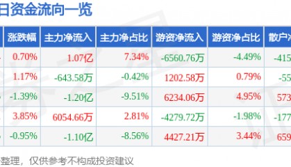 股票行情快报:京东方A(000725)1月17日主力资金净买入1.07亿元