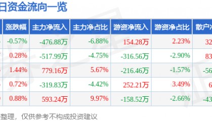 股票行情快报:恒源煤电(600971)8月8日主力资金净卖出476.88万元