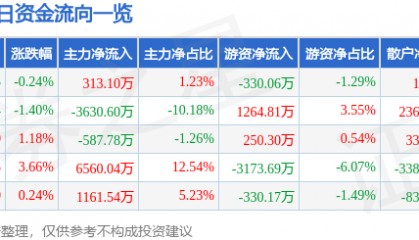 股票行情快报:实达集团(600734)7月10日主力资金净买入313.10万元