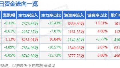 股票行情快报:神火股份(000933)8月5日主力资金净卖出7373.86万元