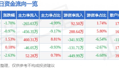 股票行情快报:沙河股份(000014)12月31日主力资金净卖出265.63万元