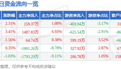 股票行情快报:仁智股份(002629)6月30日主力资金净买入159.37万元