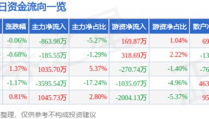 股票行情快报:电科网安(002268)6月9日主力资金净卖出863.98万元