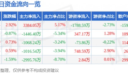 股票行情快报:露笑科技(002617)12月10日主力资金净买入3384.05万元
