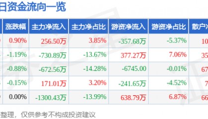股票行情快报:恒源煤电(600971)9月4日主力资金净买入256.50万元