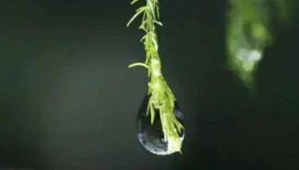 一念之仁,胜过三思之智