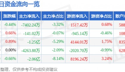 股票行情快报:京东方A(000725)2月25日主力资金净卖出7402.24万元