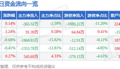 股票行情快报:建投能源(000600)8月11日主力资金净卖出365.52万元