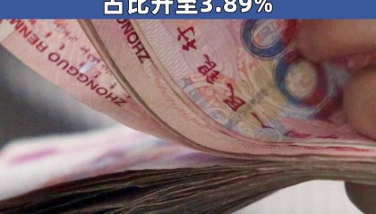 货币比率(能值货币比率)