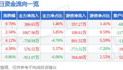 股票行情快报:云南旅游(002059)4月11日主力资金净买入306.65万元