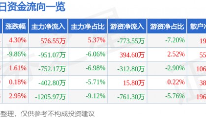股票行情快报:云南旅游(002059)4月8日主力资金净买入576.55万元