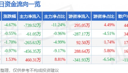 股票行情快报:沙河股份(000014)1月3日主力资金净卖出739.52万元