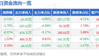 股票行情快报:沙河股份(000014)1月2日主力资金净卖出61.05万元
