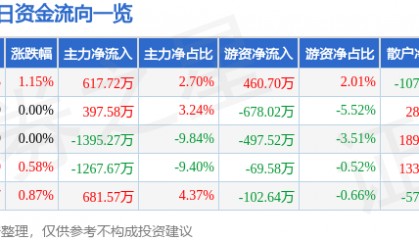 股票行情快报:华纺股份(600448)7月3日主力资金净买入617.72万元