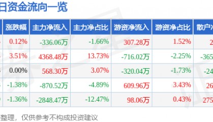股票行情快报:朗玛信息(300288)8月4日主力资金净卖出336.06万元