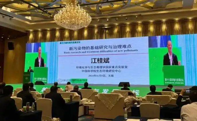正丹股份月度报告（2024年12月期）