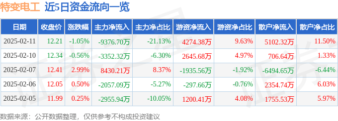 股票行情快报：特变电工（600089）2月11日主力资金净卖出9376.70万元