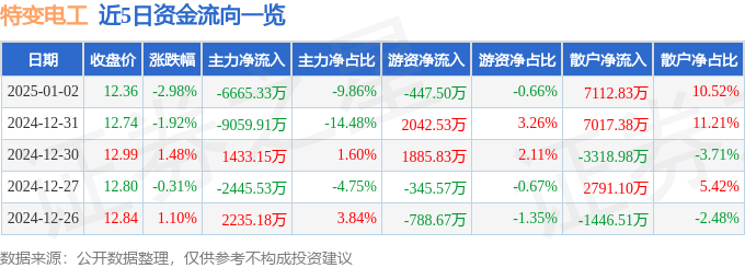 股票行情快报：特变电工（600089）1月2日主力资金净卖出6665.33万元