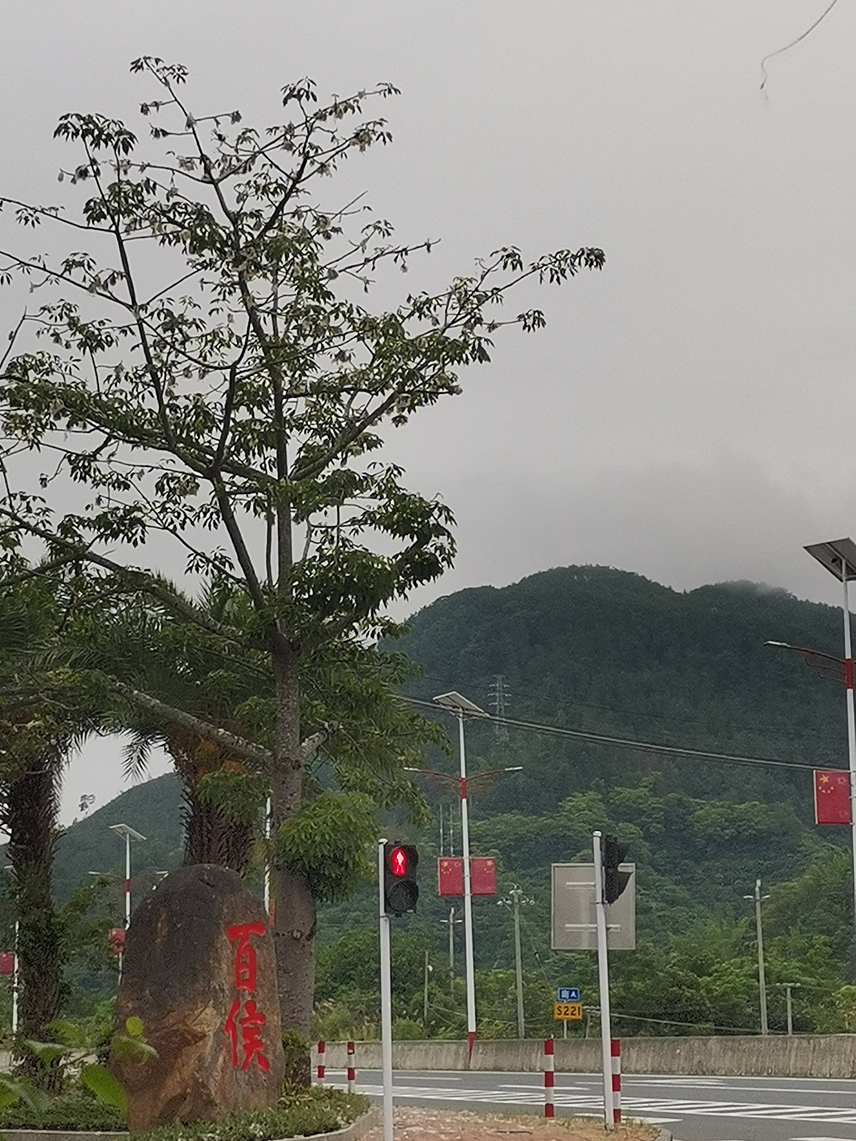 七律四首～范社长赐撰序言标题遐思