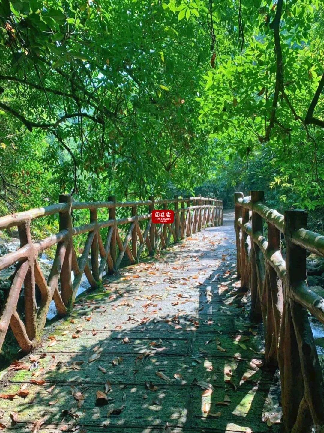 广州团建推荐 | 三桠塘幽谷，打卡避暑秘境｜广州中高层团建 | 广州户外团建好去处推荐