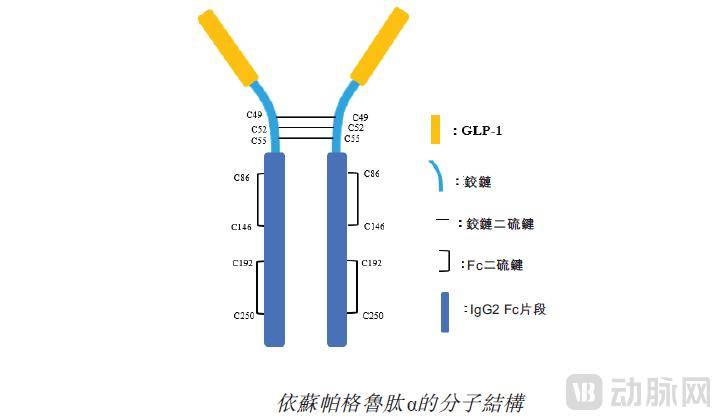 近四年最大首日涨幅,这家创新药企给出GLP-1的 “新解法”