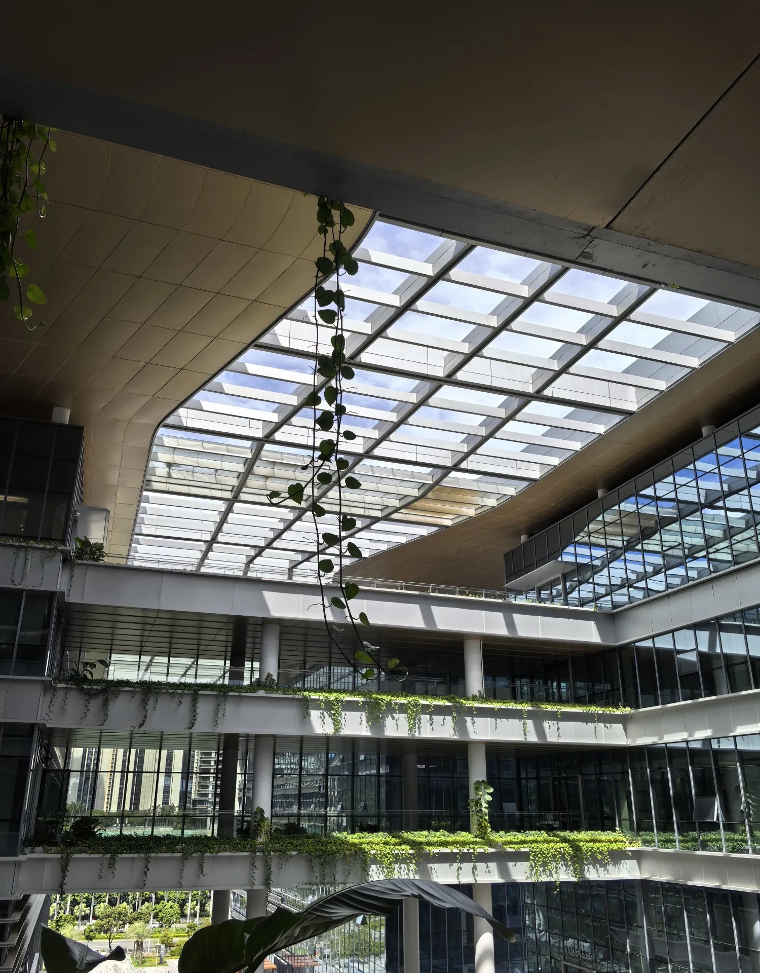 货币中心(货币中心银行) 货币中心(货币中心银行)